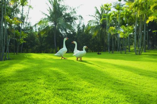 Villa Sanctuary Residential Resort Community