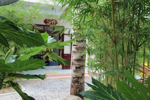 Hotel Gm Doc Let Beach Resort & Spa