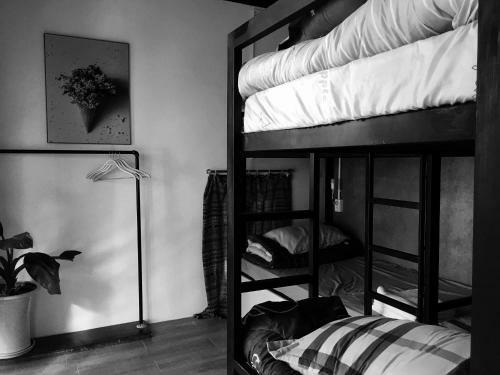 Apartamento Bigdog Homestay