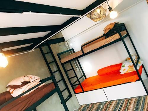 Apartamento Bigdog Homestay