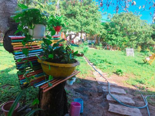 Agroturismo Dao Hoa Vang Villa