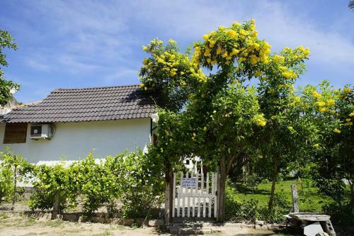 Agroturismo Dao Hoa Vang Villa