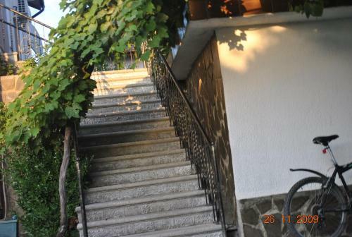 Bed & Breakfast Rosemarine Hotel