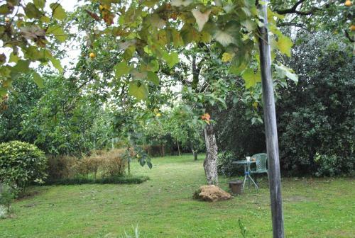 Bed & Breakfast Rosemarine Hotel