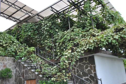 Bed & Breakfast Rosemarine Hotel