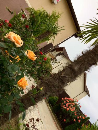Hostal Uyut Guest House