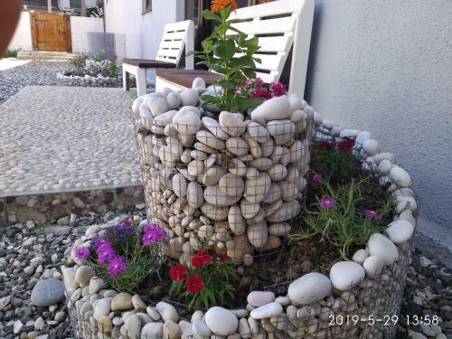 Albergue Mix Hotel Lime