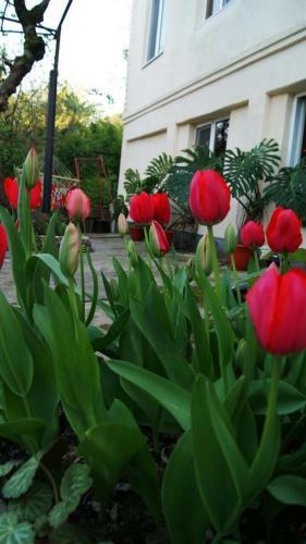 Hostal Atskha Guest House