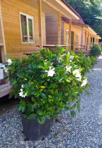 Holiday Park Zhoekvara