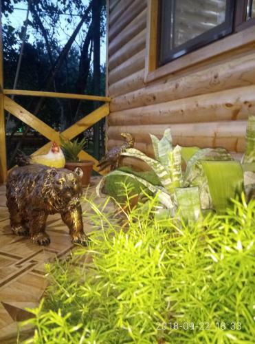 Hostal Guest House Mihalych