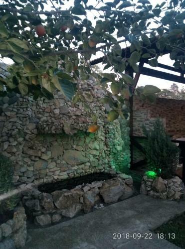 Hostal Guest House Mihalych
