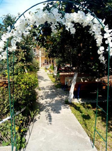 Hostal Guest House Mihalych