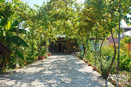 Hostal Guest House Georgina