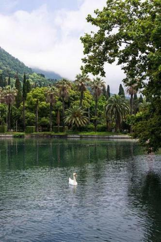Hostal Guest House Raduga