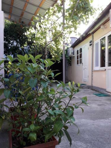 Hostal Guest House Mariam