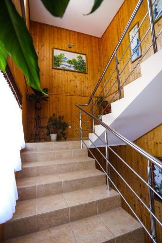 Hostal Colibri