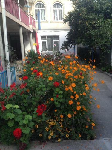 Hostal Guest House Sayat-nova 35