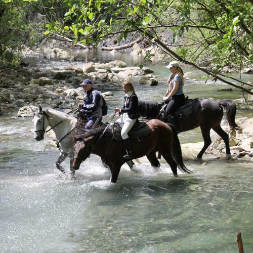 Wellness Park Hotel Gagra All-inclusive