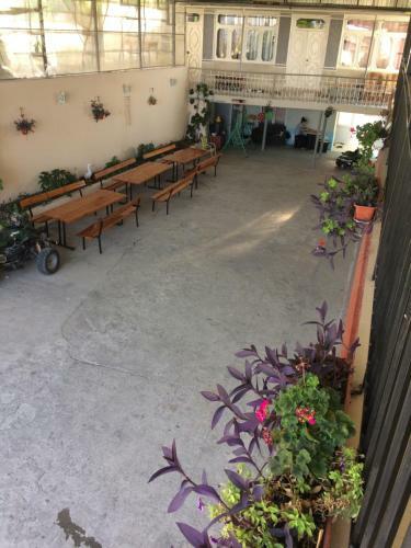 Hostal Guest House U Mishy