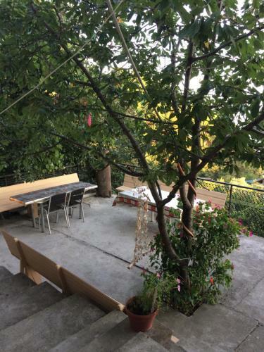 Hostal Guest House U Mishy