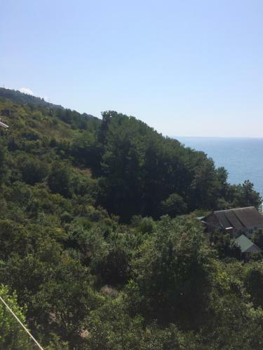 Hostal Guest House U Mishy