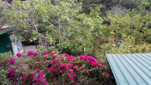 Hostal U Morya Guest House