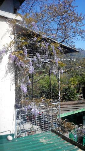 Hostal U Morya Guest House