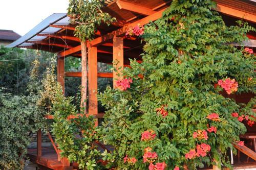 Kashtak Cottages