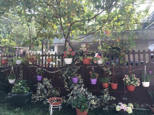 Hostal Guest House Svetlana