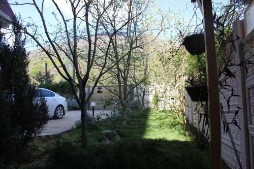 Hostal House In Gagra