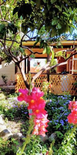 Hostal Apartment On Tereshkovoy