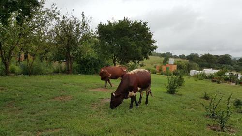 Hostal Offgrid Farm