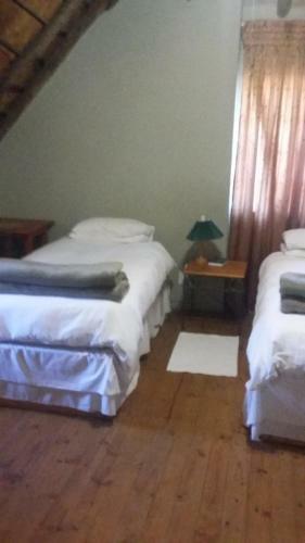 Hostal Norfolkpine