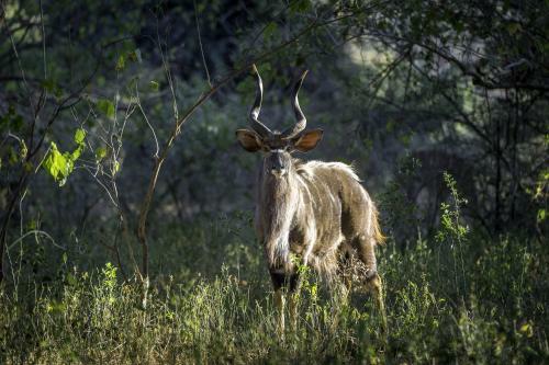 Hotel The Outpost Lodge
