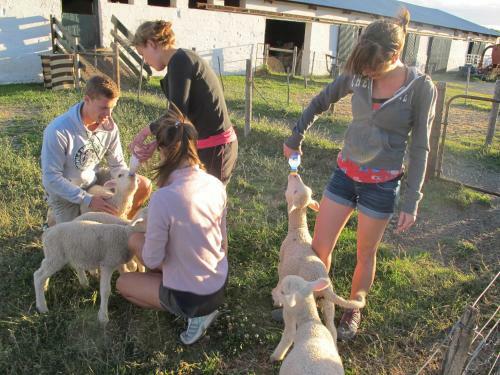 Agroturismo Ganora Guest Farm And Excursions