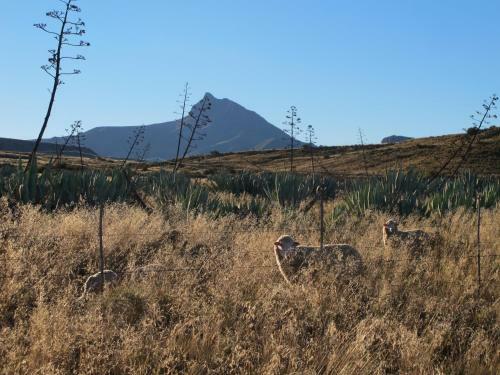 Agroturismo Ganora Guest Farm And Excursions