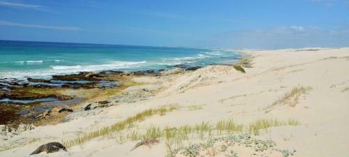 De Hoop Collection