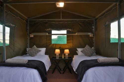Tented Adventures Pilanesberg