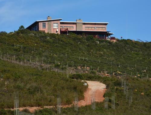 Agroturismo Wolwedans Game Farm