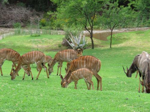 Wildehondekloof Game Lodge