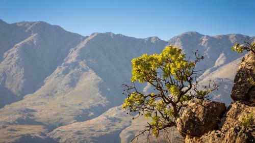 Wildehondekloof Game Lodge