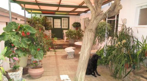Hostal Van Rhyn Guest House
