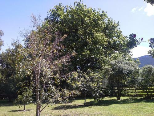 Hostal Andelomi Nature's Rest