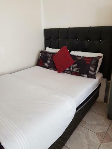 Hostal L-pack Guesthouse