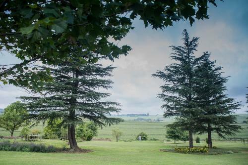 Hostal Glen Ormond