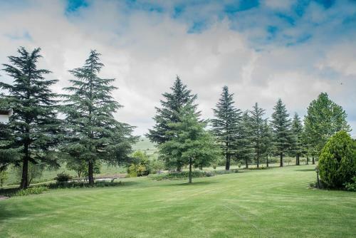 Hostal Glen Ormond