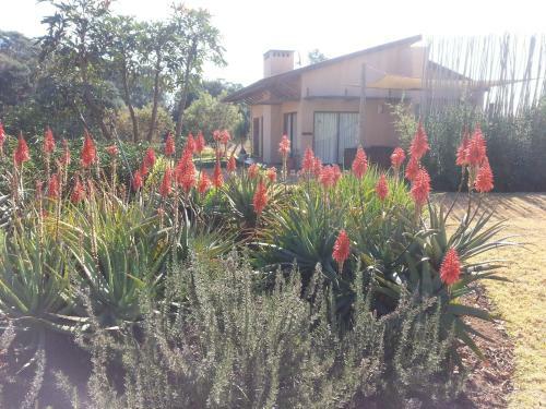 Ama Casa Cottages