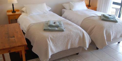 Bed & Breakfast Dream @ Dolphins