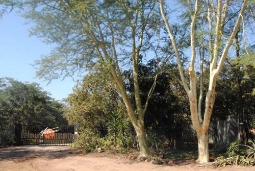 Matumi Lodge