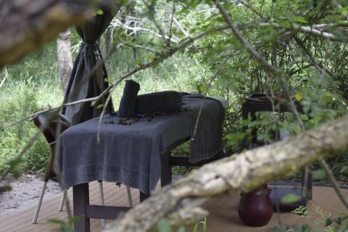 Tembe Elephant Park Lodge
